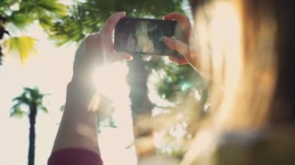 Chica toma las fotos de palmeras smartphone en un primer plano — Vídeos de Stock