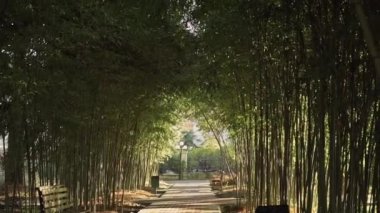 Banklar ile Bambu sokak güzel bir güneşli günde parkta