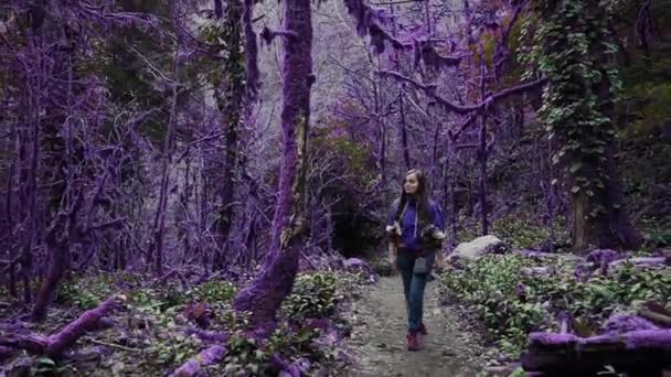 バイオレットおとぎ話の森。カジュアルなスタイルの美しい女の子は、深い箱木の森に行くと地面に横たわっている大きな苔で覆われた木に森へのパスをオフにします。ファンタジー, 非現実的 — ストック動画