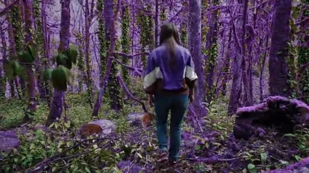 バイオレットおとぎ話の森。魅惑的な紫色の森の中を歩いて、女の子は切り株を見つけ、それに行き、休息のために座りました。ファンタジー、非現実的な、おとぎ話の雰囲気 — ストック動画