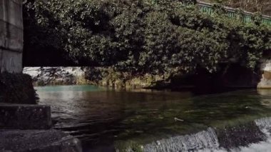 Yeşillik ve akıntıile büyümüş köprü