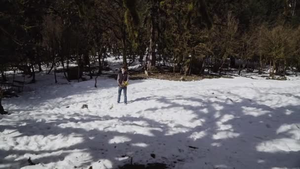 Ragazzo in camicia a quadri e gilet getta un bouquet primaverile di mimose in mezzo a un prato innevato nel bosco — Video Stock