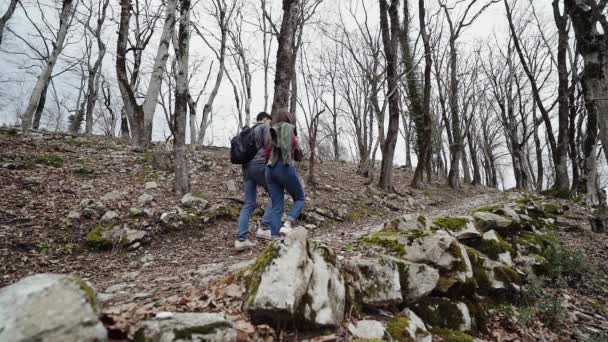 Ragazzo con una ragazza che tiene le mani salire il sentiero roccioso nella foresta calva — Video Stock