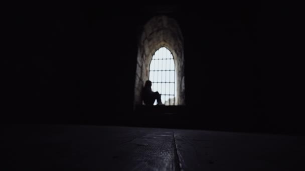 Σιλουέτα ενός κοριτσιού που κάθεται πίσω από τα κάγκελα στον πύργο και αγγίζει τα κάγκελα με το χέρι της — Αρχείο Βίντεο