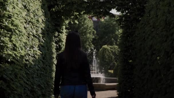 Довгошерста дівчина йде до фонтану вздовж алеї в лабіринті зелених кущів в саду. Вид ззаду. Жінка відпочиває на свіжому повітрі на вихідних. Прекрасний ландшафтний дизайн. Дизайн саду — стокове відео