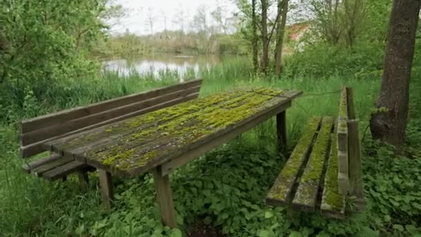 Старые деревянные скамейки для пикника и стол, покрытые зеленым мхом — стоковое видео