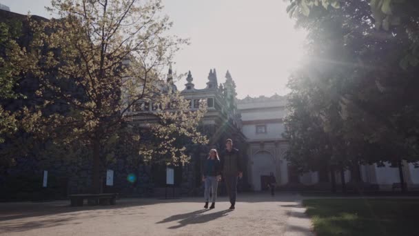 Liefdevolle paar lopen handen vasthouden in Palace Park in stralen van de avondzon — Stockvideo