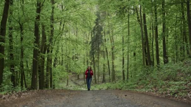 Mulher bonita em óculos de sol, casaco vermelho e jeans caminhando em um caminho misterioso na floresta. Recreação, bela vista, esportes, viagens — Vídeo de Stock