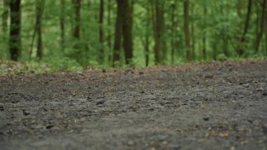 kot pantolon ve çizme kadın ormanda yürür, closeup yan zemin görünümü