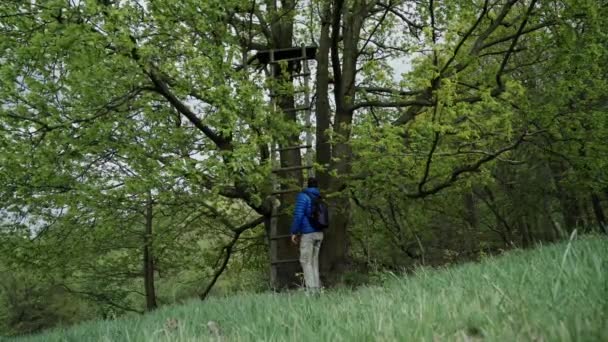 Mladý muž v modrém kabátku a džínách s batohu se blíží k obrovskému, trvalému dubu. U stromu stojí dřevěné schody. Muž šplhá po schodech na vrchol stromu. Obecný plán, zpětné zobrazení — Stock video