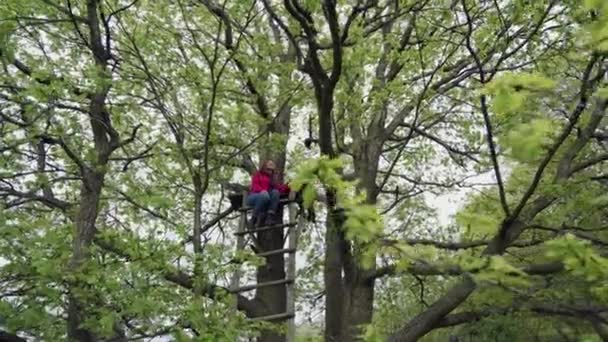 Молодая женщина сидит на деревянной лестнице в могучей дубовой листве и улыбается. — стоковое видео