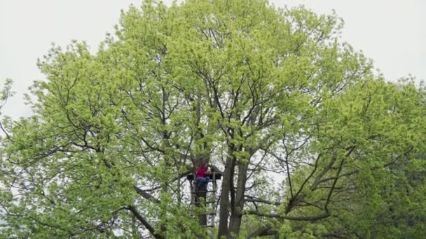 Молода жінка в червоній куртці сидить на дерев'яних сходах у могутньому дубовому листі і використовує смартфон, загальний план — стокове відео