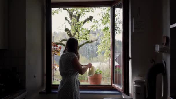 Mooie gelukkige jonge vrouw drenken de bloem in de keuken thuis met witte drenken pot — Stockvideo