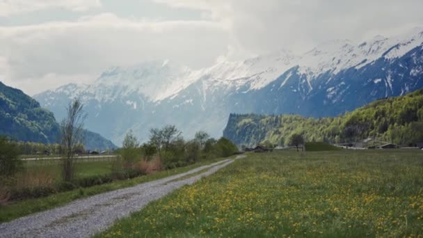 Paisaje de montaña de camino de campo en campos de flores — Vídeos de Stock