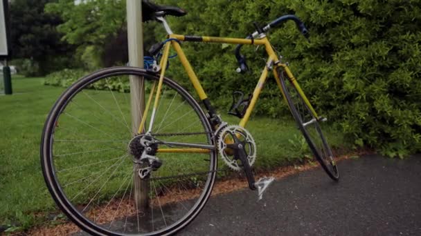 Spring rain falling on yellow city bicycle parked on sidewalk in green park — Stock Video