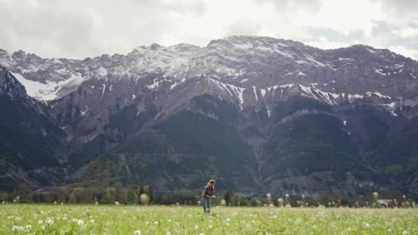 Ragazza in abiti casual in piedi tra i fiori selvatici e raccogliendo denti di leone sulle montagne. Piano generale — Video Stock