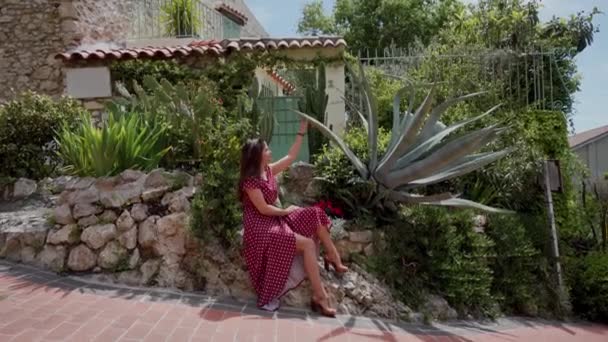 Young woman in red dress sits near big aloe vera on stone fence. Greens and cactuses. Fashion and style — Stock Video