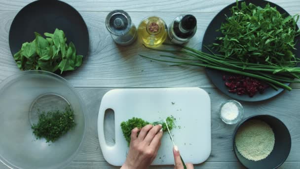 Fatiando Verduras Salada Salada Vegetariana Cebola Arugula Espinafre Oxicoco Salsa — Vídeo de Stock