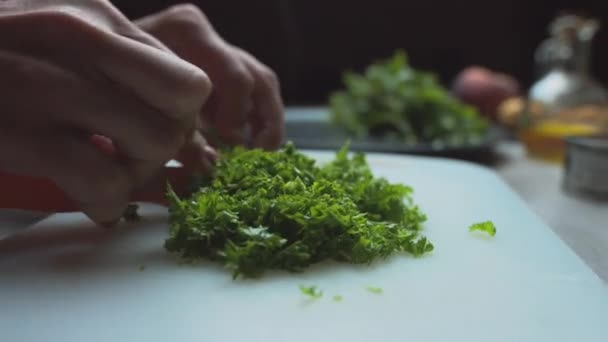 Mãos Femininas Fecham Salsa Redução Preparam Uma Salada Vegetariana — Vídeo de Stock