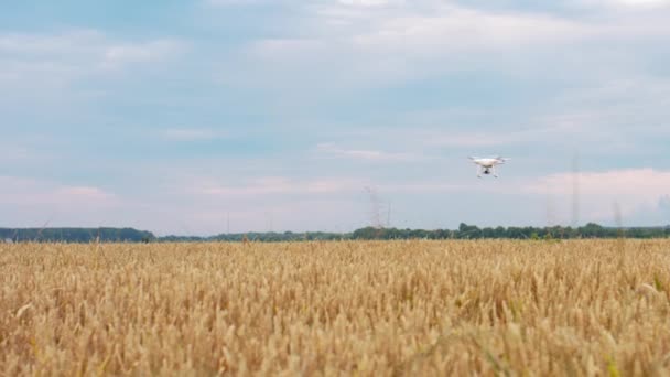 Lennokki Quadcopter Lentää Pellolla Auringonnousun Aikaan Kylässä Maaseudulla Led Lamput — kuvapankkivideo