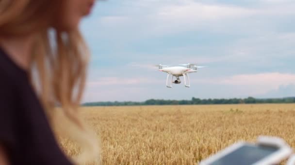 Den Kvinnliga Drönarpiloten Går Fältet Och Inspekterar Före Flygningen Drönare — Stockvideo