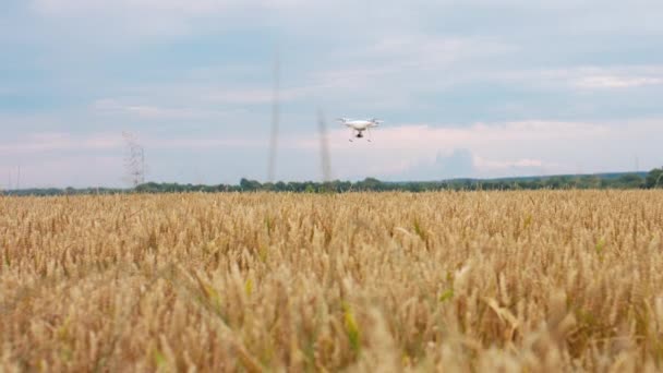 Lennokki Quadcopter Lentää Pellolla Auringonnousun Aikaan Kylässä Maaseudulla Led Lamput — kuvapankkivideo