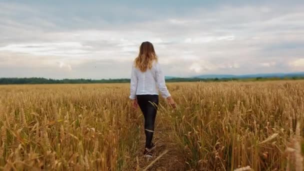 Een Jong Meisje Dat Door Een Graanveld Loopt Prachtige Zorgeloze — Stockvideo