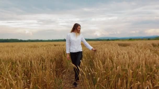 Młoda Dziewczyna Przechodząca Przez Uszy Pszenicy Polnej Piękna Beztroska Kobieta — Wideo stockowe