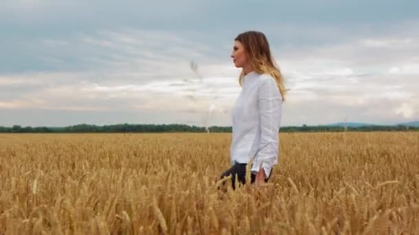 Een Jong Meisje Dat Door Een Graanveld Loopt Prachtige Zorgeloze — Stockvideo