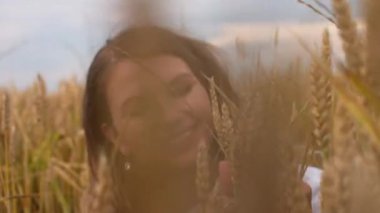 Genç bir kız buğday tarlasında yürüyor. Güzel kaygısız kadın doğanın tadını çıkarıyor ve buğday tarlasında elle dokunuyor.