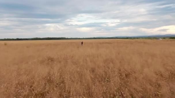 Joven Dama Alegre Salta Gira Naturaleza Campo Disparando Dron Volando — Vídeo de stock