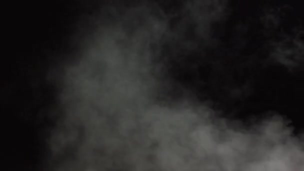 黑色背景上的白色水蒸气 特写镜头4K 黑色背景下现实的大气灰烟 白色的烟灰慢慢地漂浮起来 摘要海雾云 动画雾效应 烟流效应4K — 图库视频影像