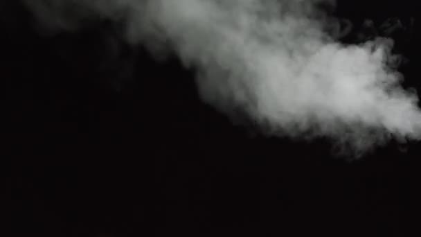 Vapor de água branco sobre um fundo preto. Um plano de perto. White Fume Lentamente Flutuante Sobe. Abstrato Haze Cloud. Efeito de Névoa de Animação. Efeito de fluxo de fumaça 4K — Vídeo de Stock