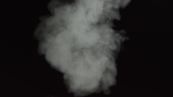 Soft Fog in Slow Motion su sfondo scuro. Fumo grigio atmosferico realistico su sfondo nero. Il fumo bianco che galleggia lentamente si alza. Astratto Haze Cloud. Animazione Effetto nebbia. Effetto flusso di fumo 4K — Video Stock