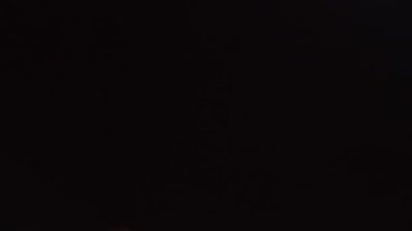 Karanlık Arkaplanda Yavaş Çekimde Yumuşak Sis. Siyah Arkaplanda Gerçekçi Atmosferik Gri Duman. Beyaz Duman Yavaşça Yükseliyor. Soyut Haze Bulutu. Animasyon Buğusu Efekti. Duman Akımı Efekti 4K