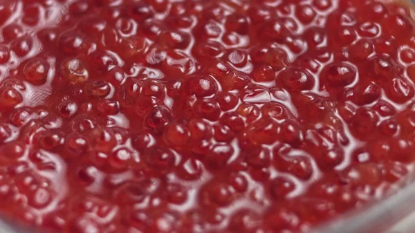 Red Caviar girou sobre fundo preto. Fechar a rotação do caviar de salmão. Delicatessen. Textura de caviar. Frutos do mar. 4K UHD de vídeo — Fotografia de Stock