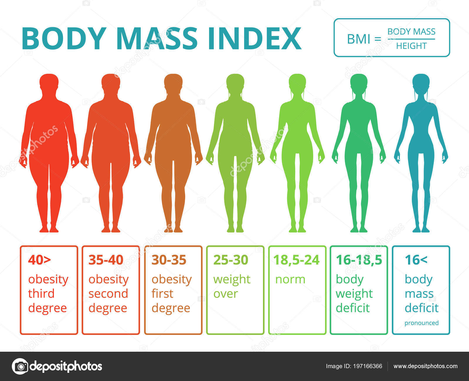 Bmi frau Accuracy of