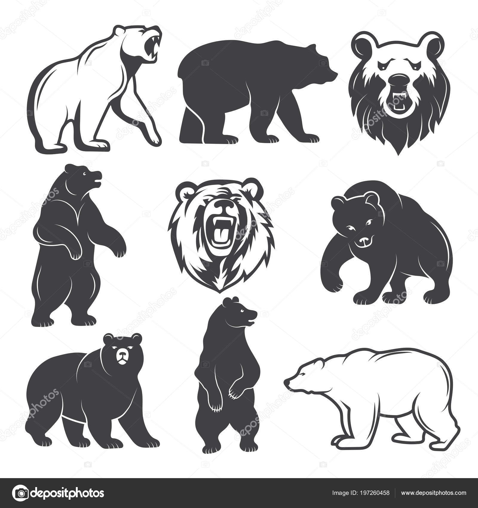 Foto Orso Disegno Illustrazioni Monocromatiche Di Orsi