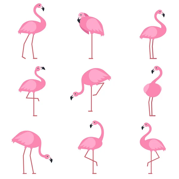 Cartoon pictures of exotic pink bird flamingo. Vector illustrations isolate