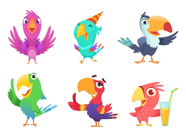 Cartoon parrots characters. Cute feathered birds with colored wings funny exotic parrot various action poses vector pictures isolated