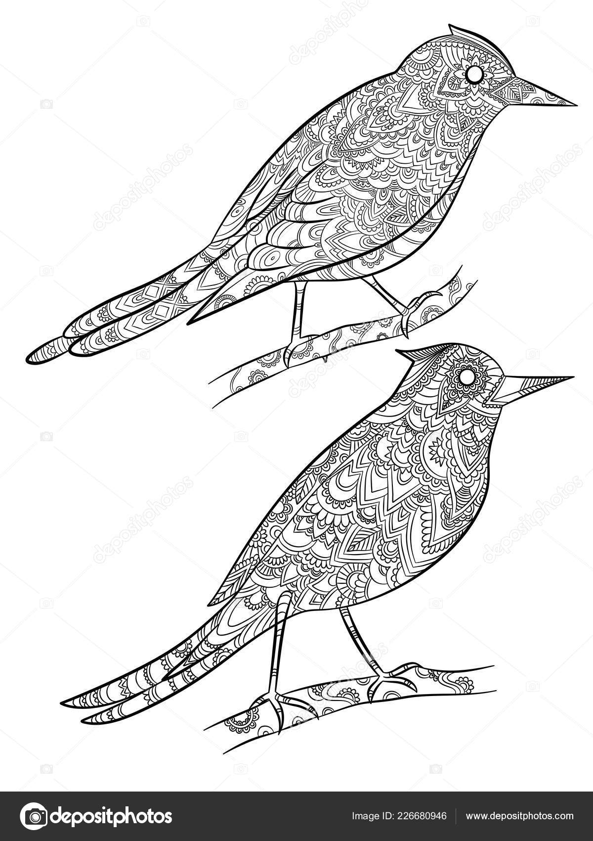 Coloriages Des Oiseaux Vol Canaries Sauvages Avec Motif