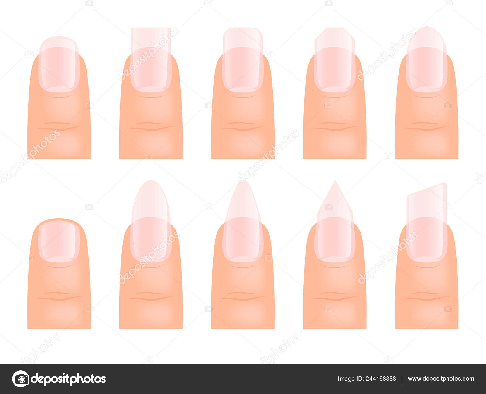 Download Manicure Nails Various Type Of Fingernail Art Vector Cartoon Template Vector Image By C Onyxprj Vector Stock 244168388