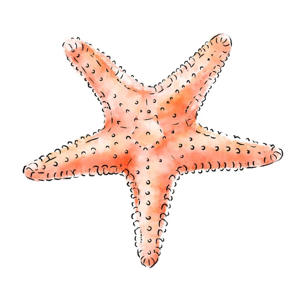 Illustration Sea Star Caribbean Starfish Isolated White Background Marine Resident — Stock Photo, Image