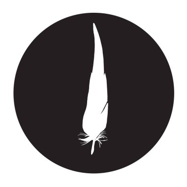 Siyah bir dairede ayrıntılı tüy silueti. Lakonik ve şık bir tasvir. Tek renkli vektör