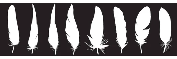 Des Silhouettes Plumes Détaillées Illustration Laconique Élégante Vecteur Monochrome — Image vectorielle