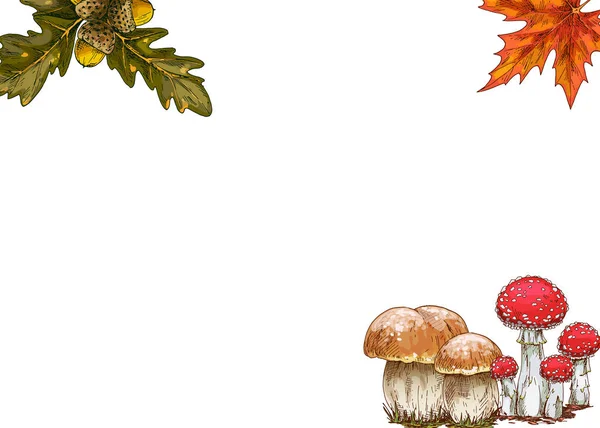 秋のデザインコレクション 明るいオークとメープルの葉 キノコの縁 ベクターイラスト — ストックベクタ