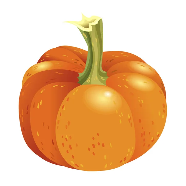 Calabaza Naranja Aislada Sobre Fondo Blanco Vector Otoño Cosecha Ilustración — Archivo Imágenes Vectoriales