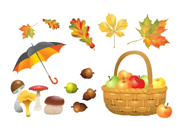 Set Autumn Objects Mushrooms Umbrella Wicker Basket Apples Acorns Leaves — Stock Vector