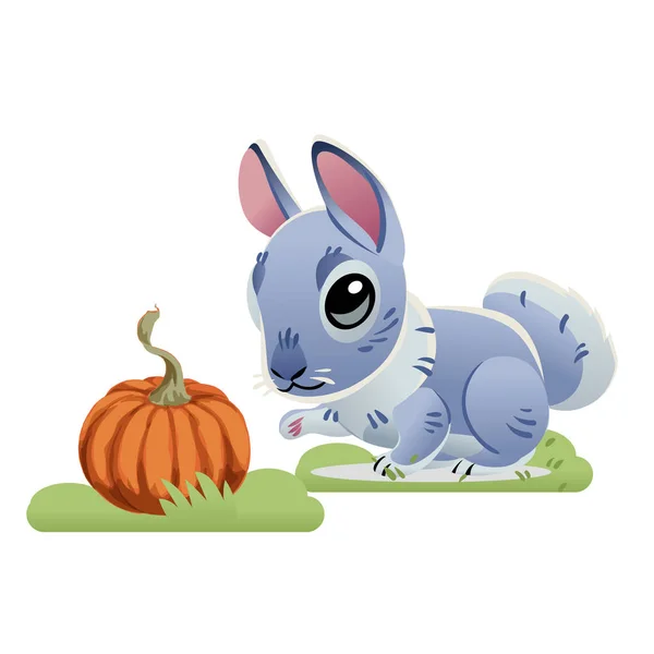 Lindo Conejito Gris Con Calabaza Aislada Sobre Fondo Blanco Ilustración — Vector de stock