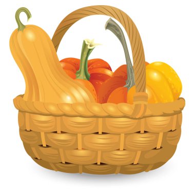 Hasır sepet tam balkabağı beyaz arka plan üzerinde izole. Sonbaharda hasat toplama illüstrasyon